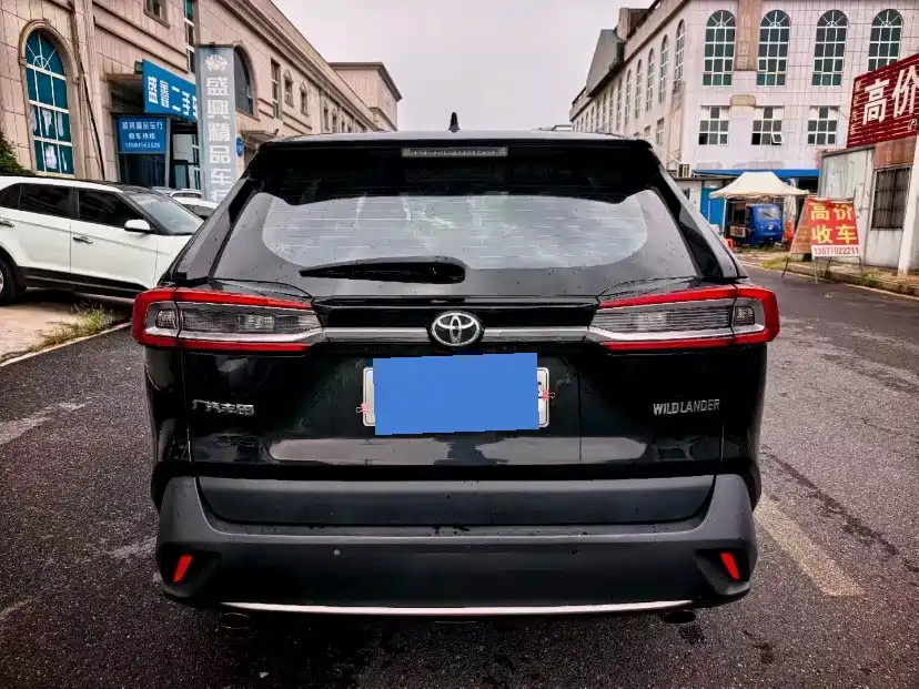 Toyota Wildlander 2020 — фото 10