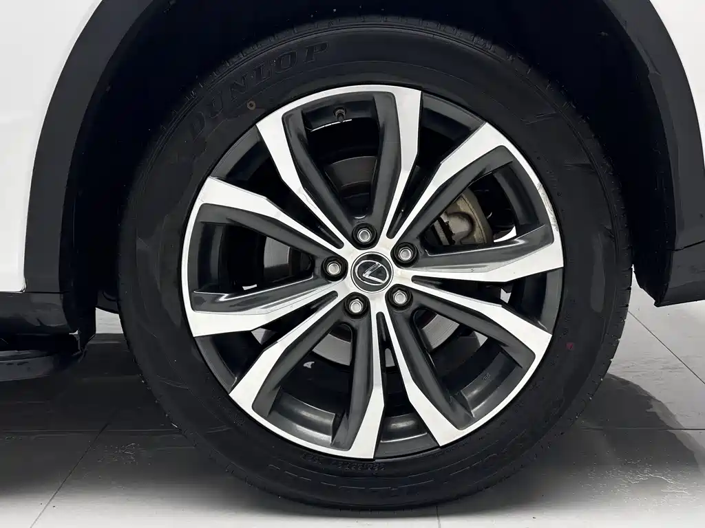 Lexus RX 2020 — фото 11