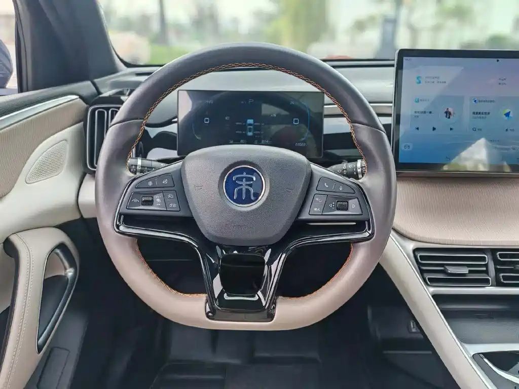 BYD Song Pro New Energy 2024 — фото 21
