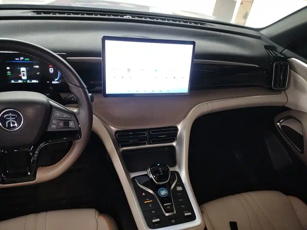 BYD Song Pro New Energy 2024 — фото 9