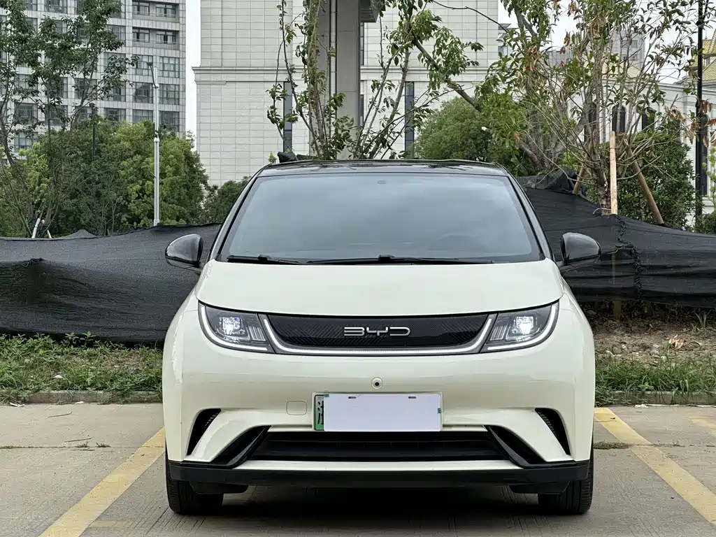 BYD Dolphin 2023 — фото 2