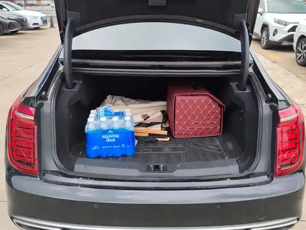 Hongqi H9 2021