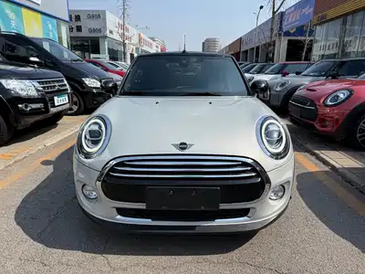 MINI MINI 2019