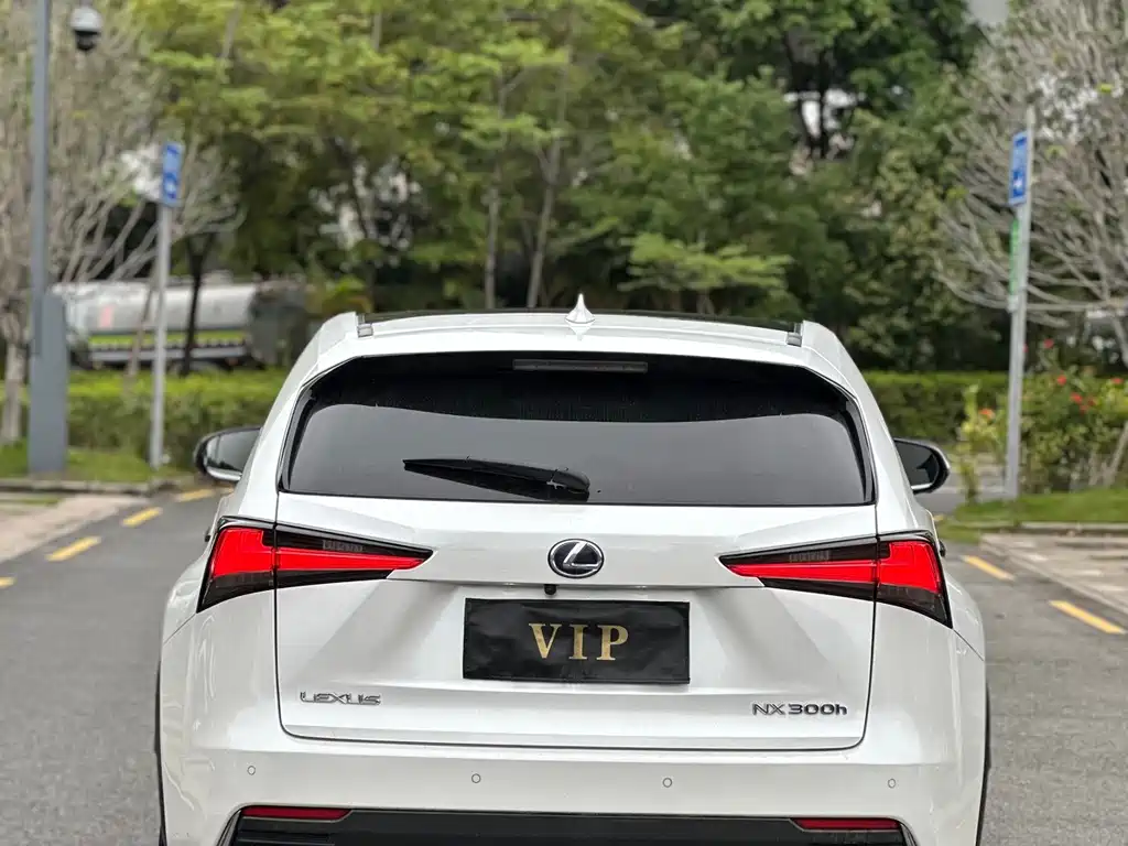 Lexus NX 2018 — фото 9