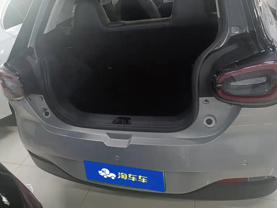 Dongfeng Nano 01 2024