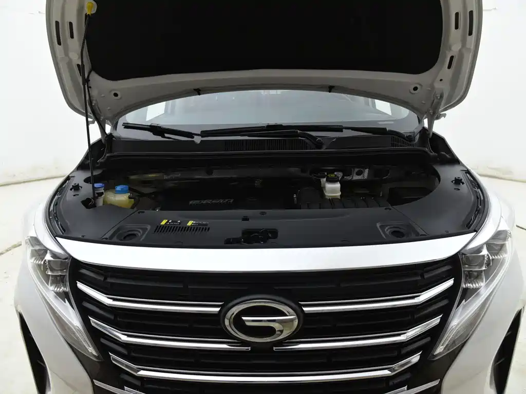 GAC Motor Trumpchi M8 2024 — фото 14