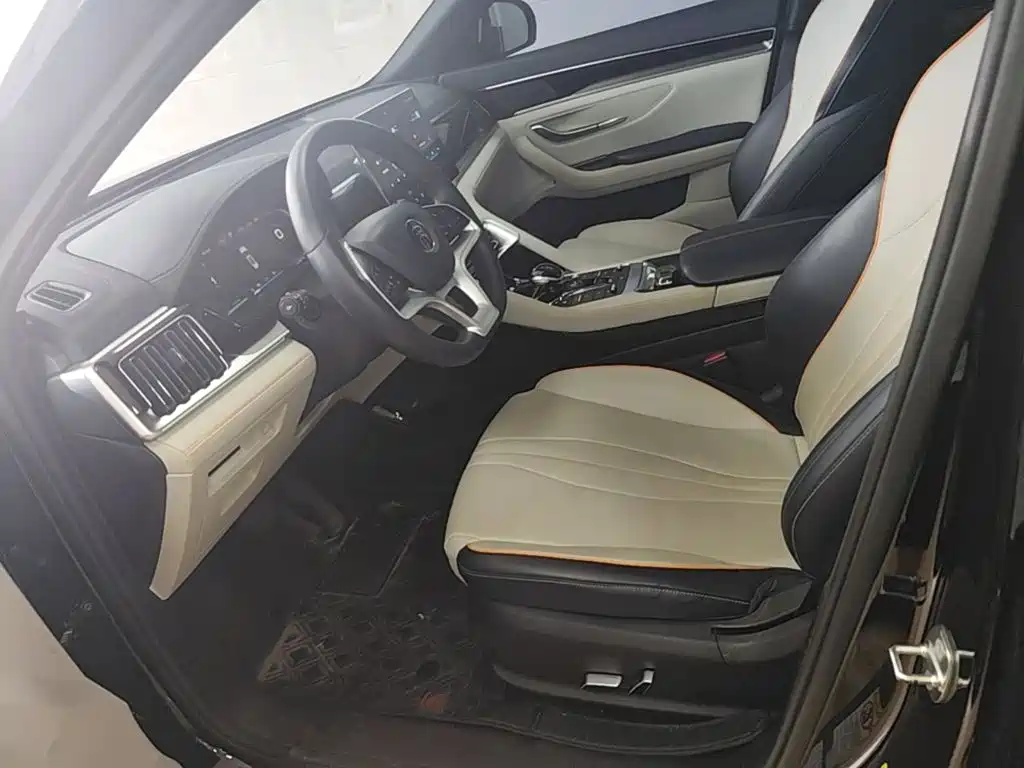 BYD Song PLUS New Energy 2022 — фото 15