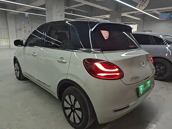 Wuling Bingo 2024