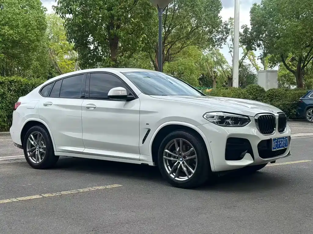 BMW X4 2020 — фото 4