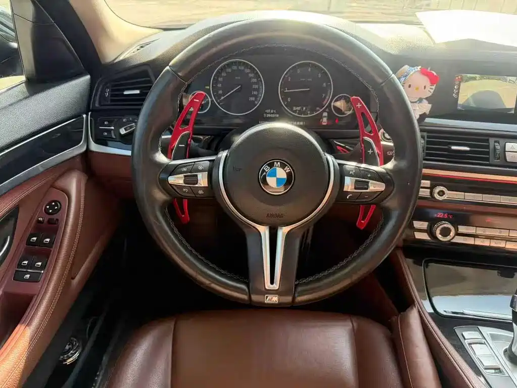 BMW 5 Series 2016 — фото 9