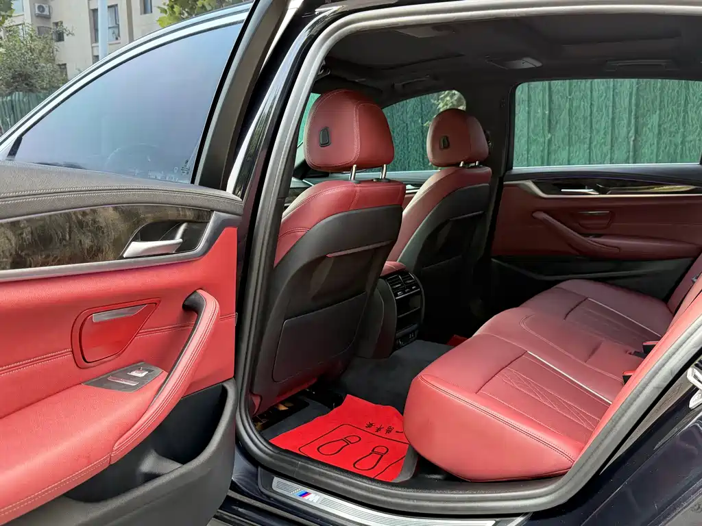 BMW 5 Series New Energy 2021
