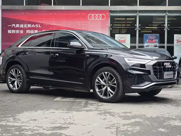 Audi Q8 2019