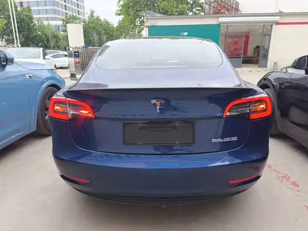 Tesla Model 3 2019