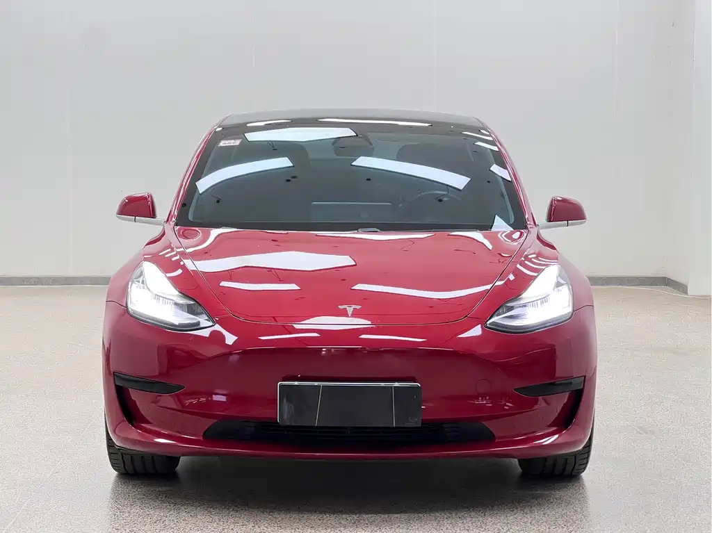 Tesla Model 3 2020 — фото 2