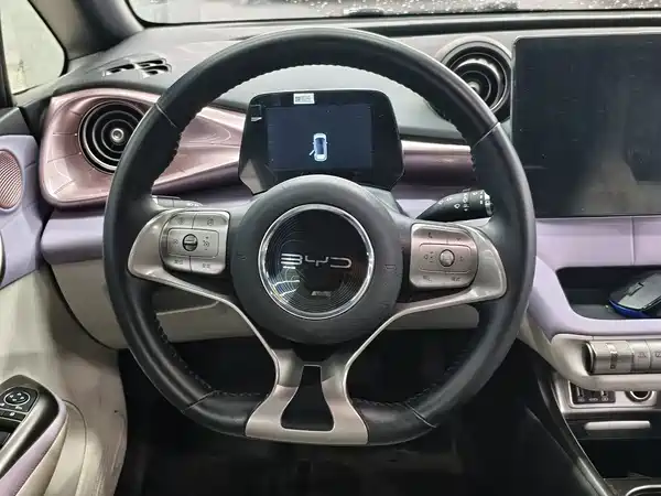 BYD Dolphin 2022
