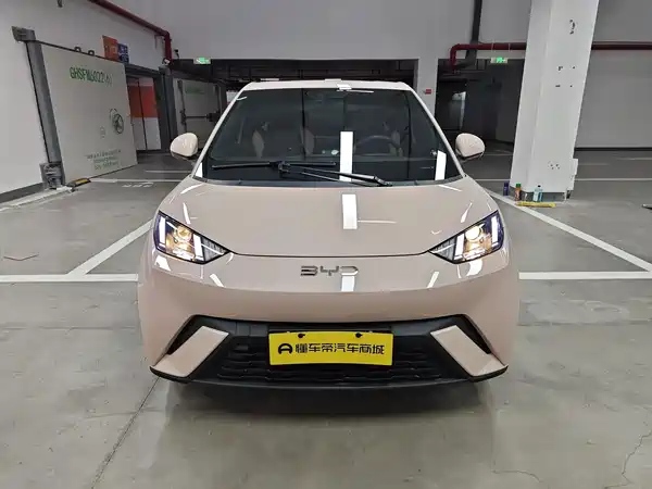 BYD Seagull 2024