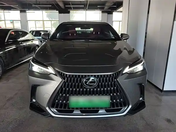 Lexus NX New Energy 2024
