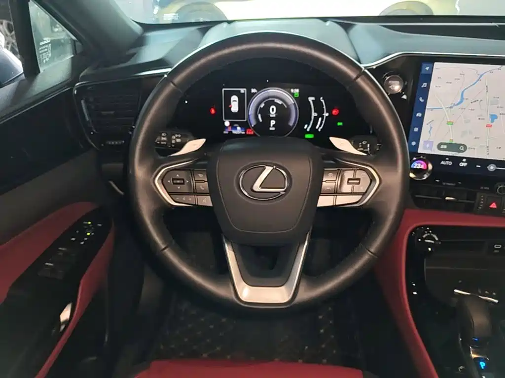 Lexus NX New Energy 2024 — фото 11