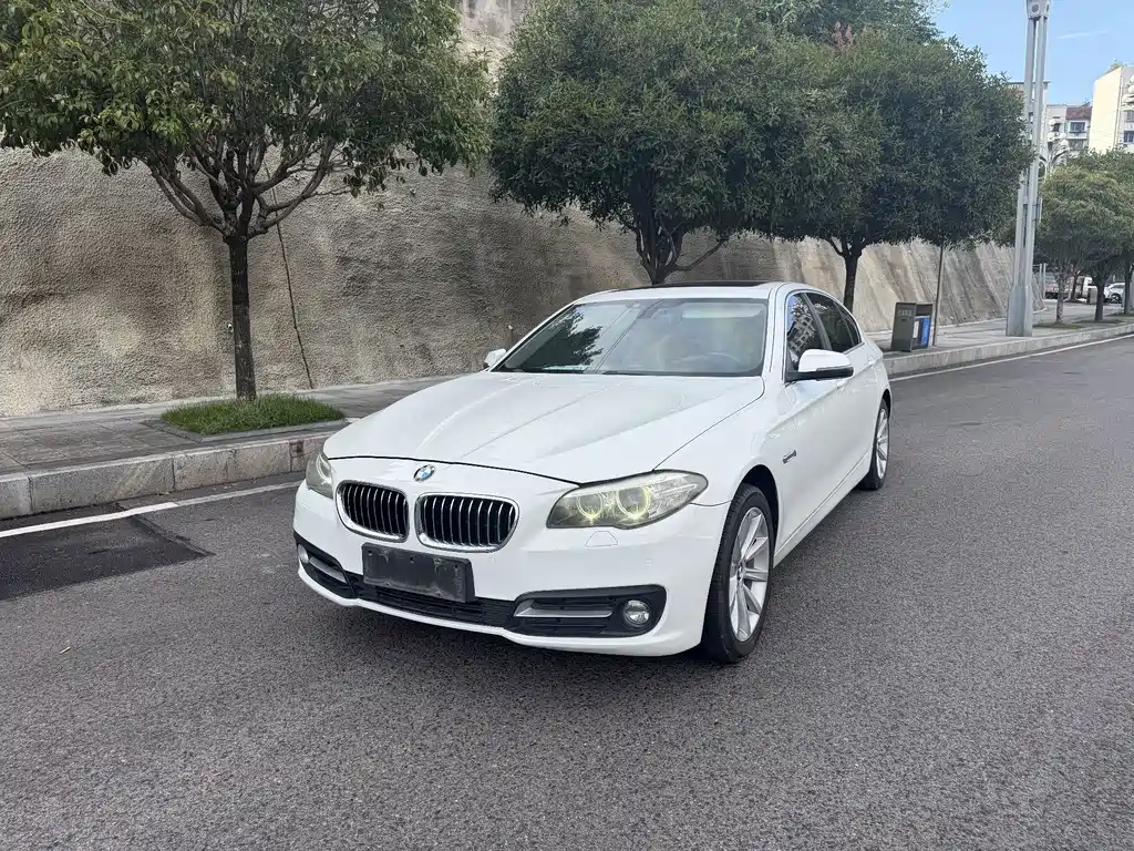 BMW 5 Series 2014