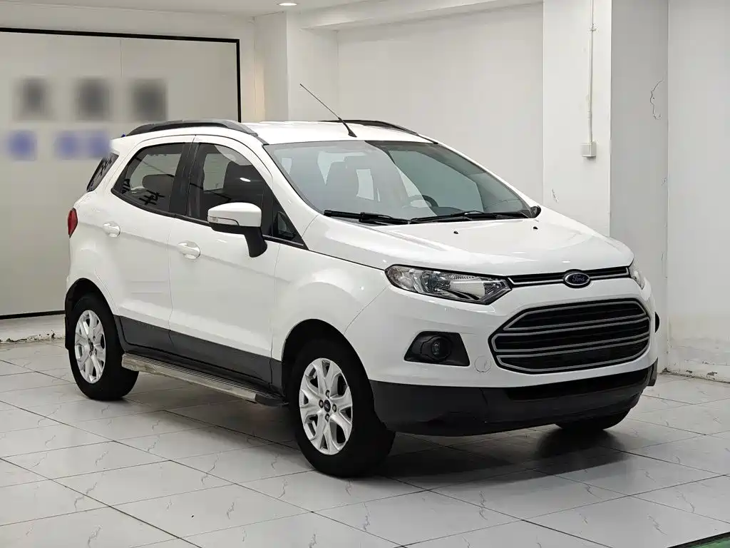 Ford EcoSport 2014 — фото 19