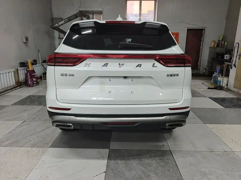 Haval H6 2021 — фото 13