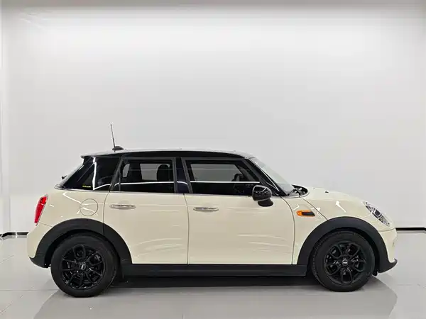 MINI 2019