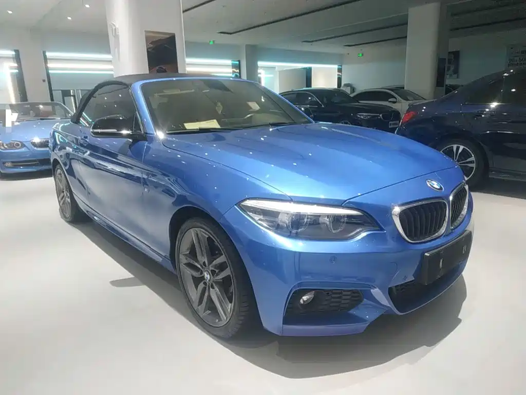BMW 2 Series 2018 — фото 20
