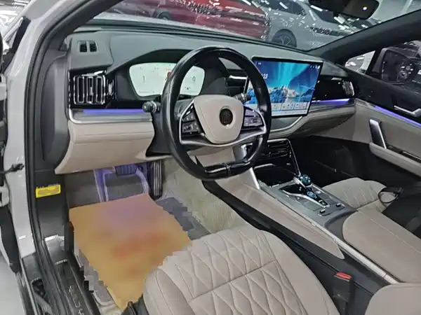 BYD Tang New Energy 2024