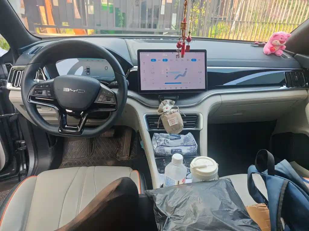 BYD Song PLUS New Energy 2024 — фото 13