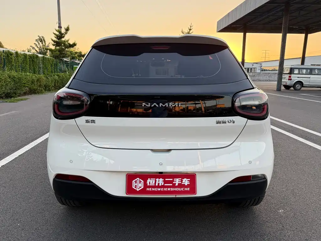 Dongfeng Nano 01 2025