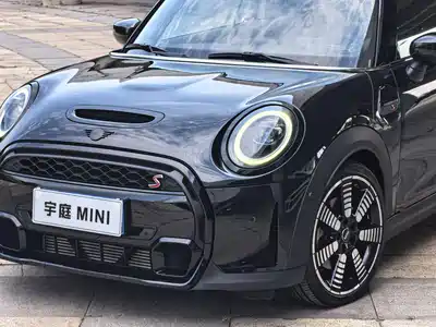 MINI MINI 2022