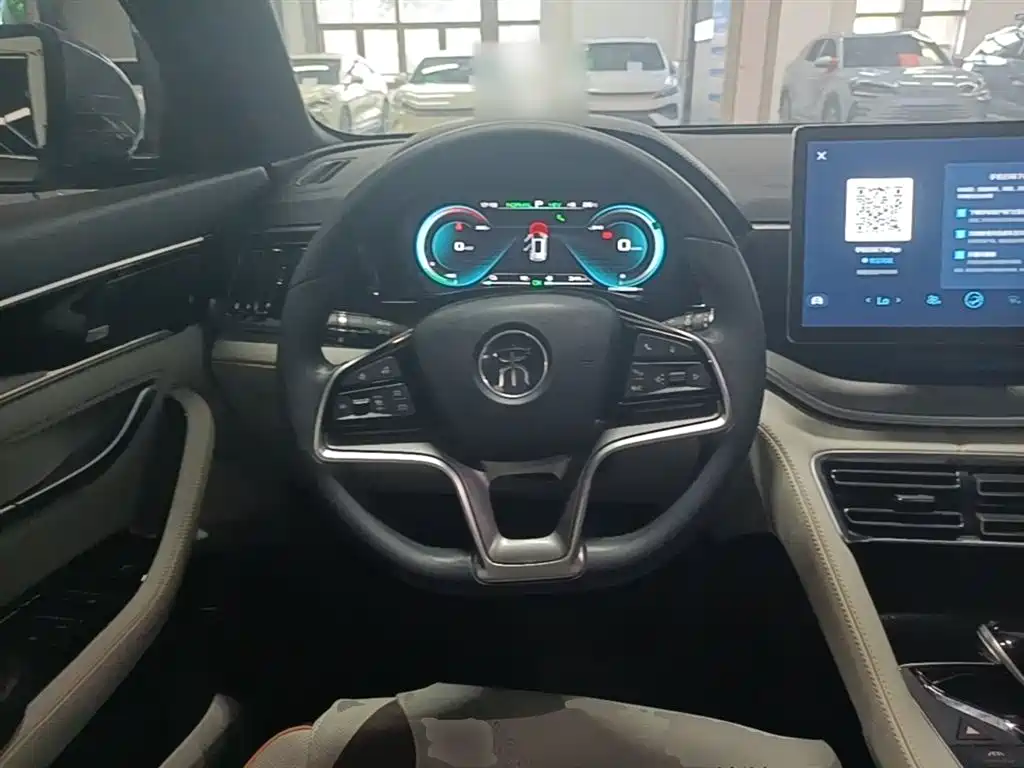 BYD PLUS New Energy 2022 — фото 11