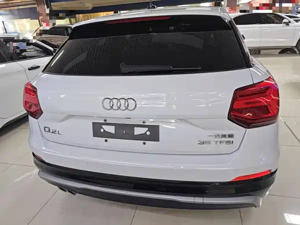Audi Q2L 2020