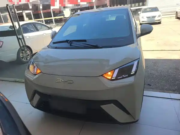 BYD Seagull 2024