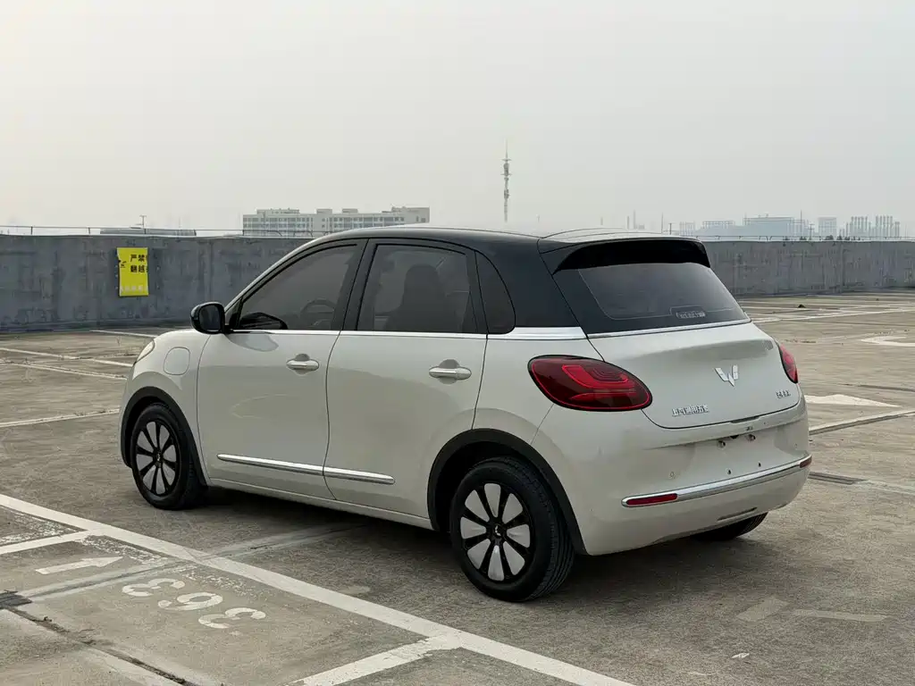 Wuling Bingo 2024