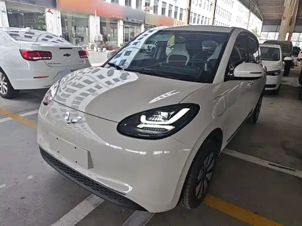 Wuling Bingo 2024