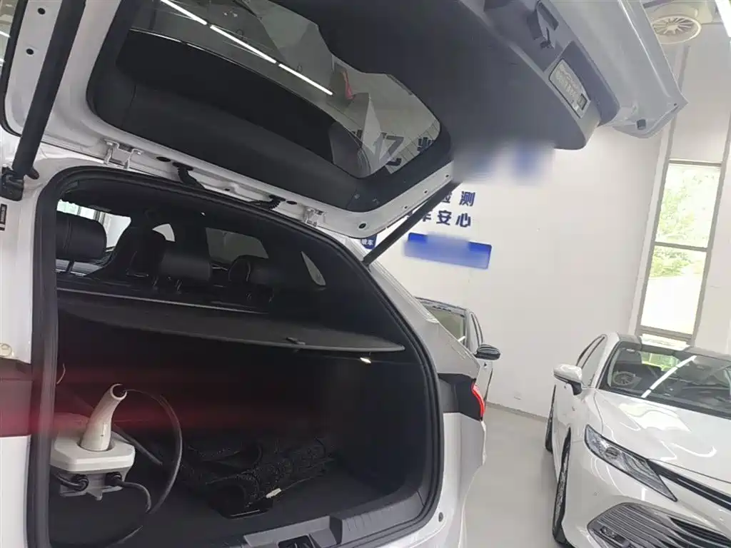 BYD PLUS New Energy 2024 — фото 19
