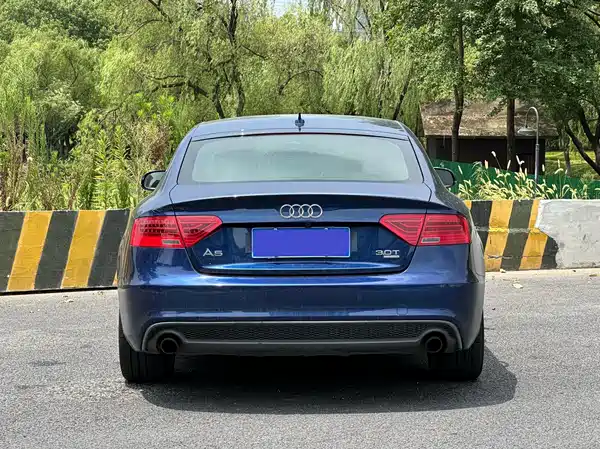 Audi A5 2013