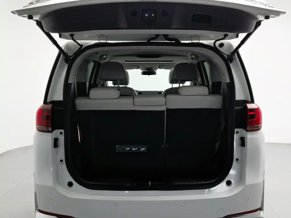 GAC Trumpchi M8 2021 — фото 16