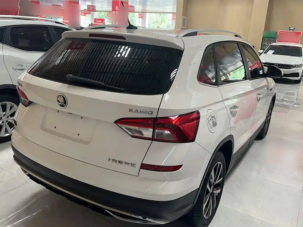 Skoda Kamiq 2019 — фото 12