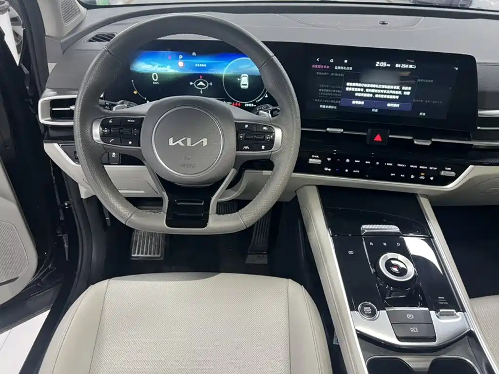 Kia Lion Platinum Expands The Boundary 2024 — фото 18