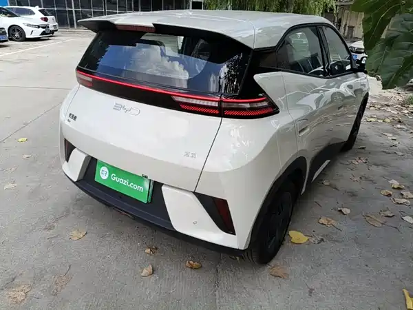 BYD Seagull 2026