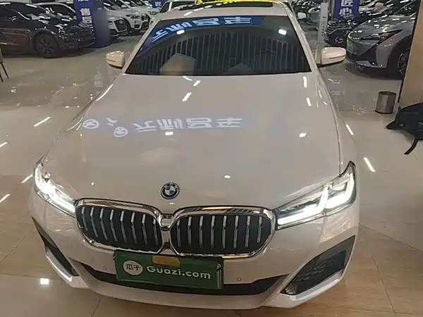 BMW 5 Series New Energy 2022