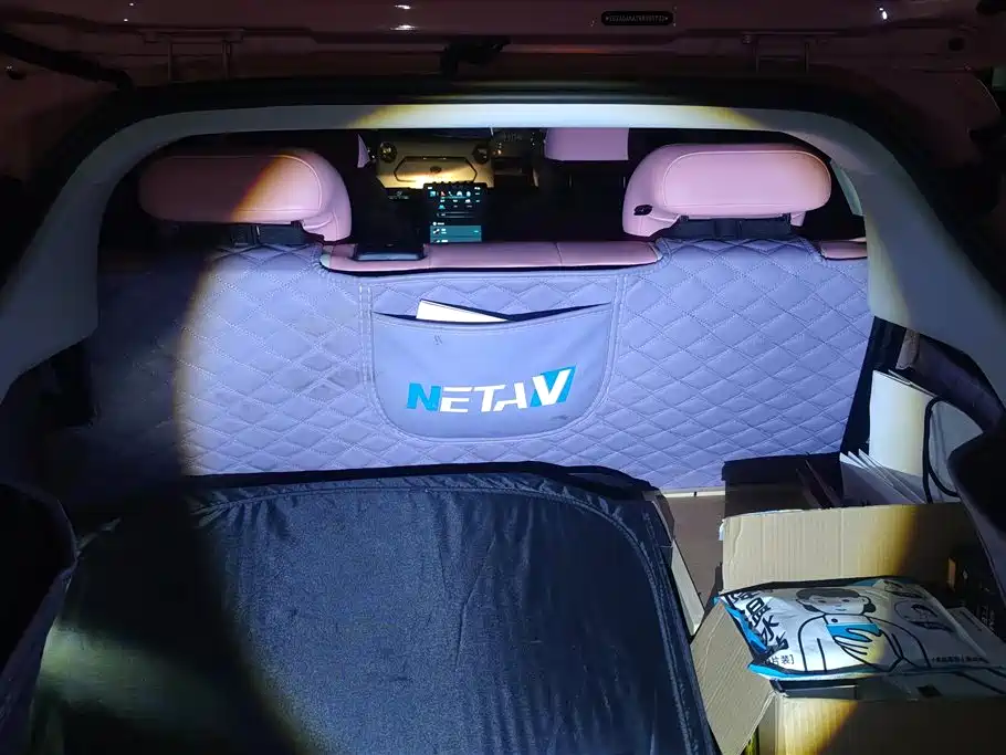 Neta V 2022