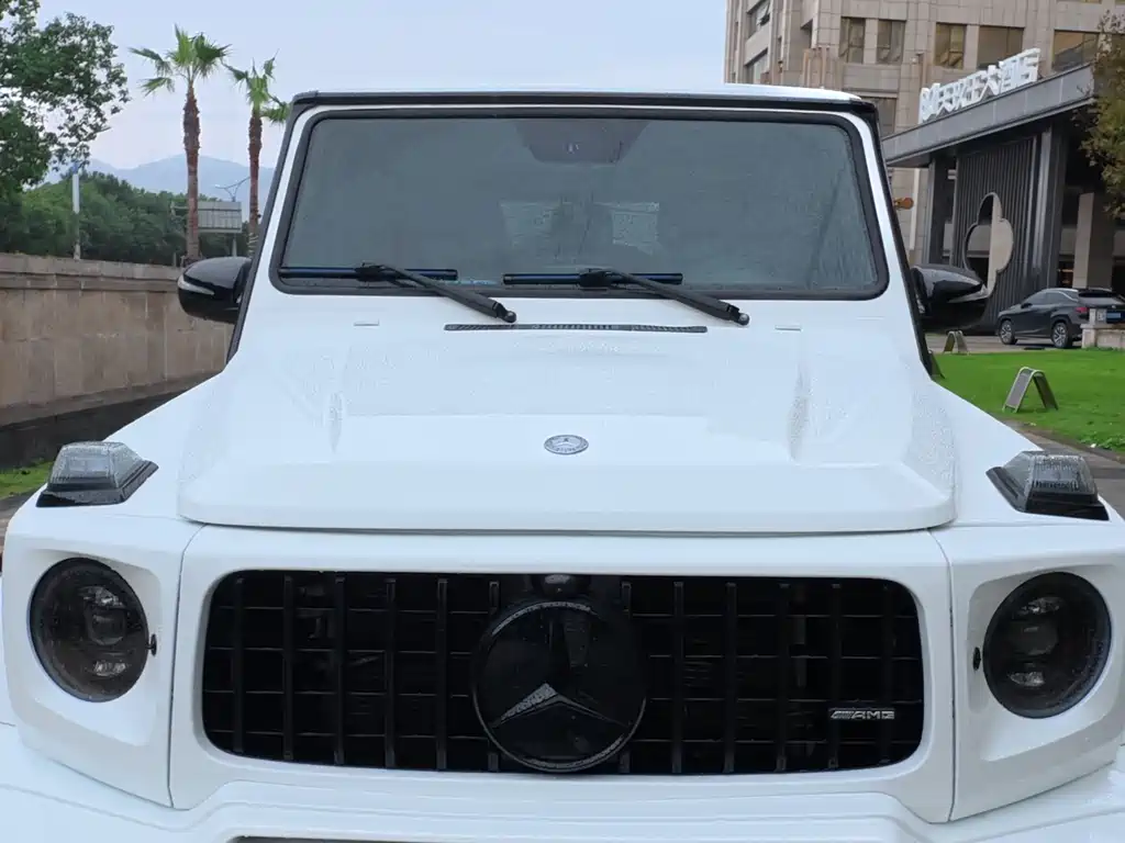Mercedes-Benz G-Class 2018 — фото 14