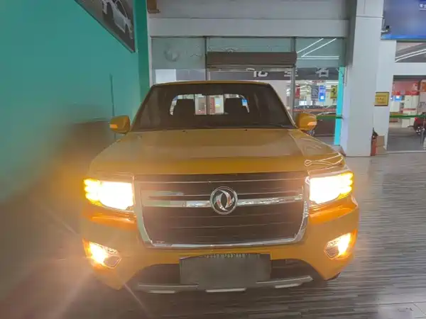 Dongfeng Ruiqi 2020