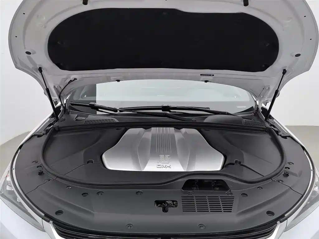 BYD Tang New Energy 2021