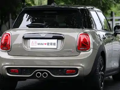 MINI MINI 2021