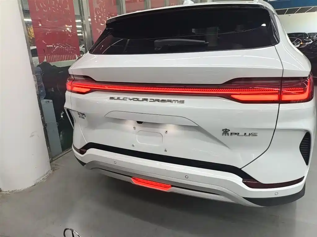 BYD PLUS New Energy 2024 — фото 6