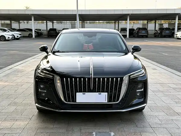 Hongqi H5 2024